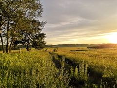 -塞罕坝国家级自然保护区