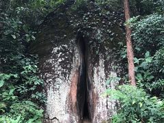 景点-丹霞山风景名胜区