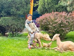 -南戴河国际娱乐中心