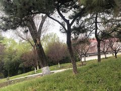 -丰台花园