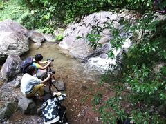 -藏龙百瀑风景区