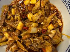 -龙翔山庄雷鸡肉(青城后山泰安古镇店)
