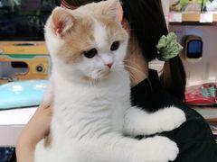 -FAELING PETS美天灵宠物(富力广场店)