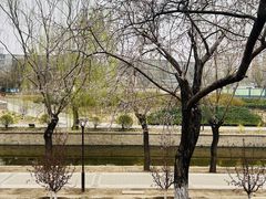 -元大都城垣遗址公园