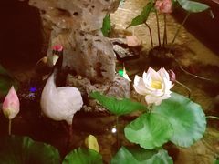 -苏浙徽·江南荟·本味融合菜(相城方圆里店)
