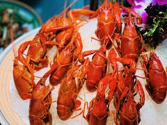 茅台熟醉小龙虾-金龙·打边炉(南京西路店)