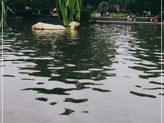 -西湖天地
