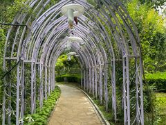 -南宫五洲植物乐园