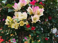 -桃花涧