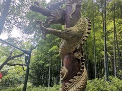 -杭州黄龙洞