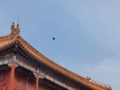 -故宫博物院(故宫)