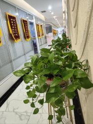 -纵享怡月月子中心(西稍门店)