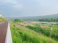 -灞河西岸滨河公园
