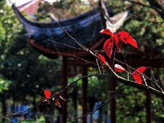 -瀛洲公园