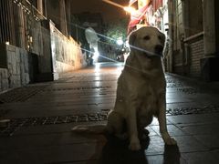 -赵小姐的店(鼓浪屿三友店)