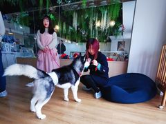 -Husky Go! 哈士奇体验馆·宠物咖啡厅狗咖