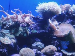 -北海海底世界