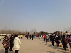 -汉长安城未央宫国家考古遗址公园