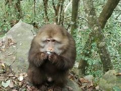 -黟县屏山村
