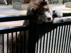 -TrueLove @ Neverland (Husky Cafe)