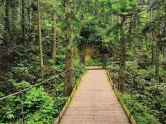 -罗田薄刀峰风景区
