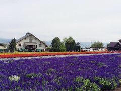-富田农场