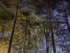 -海心沙亚运公园