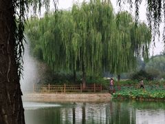 -燕郊植物园