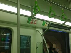 -园博园(地铁站)