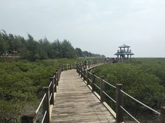 -北海金海湾红树林生态旅游区