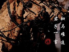 -秦始皇帝陵博物院(兵马俑)