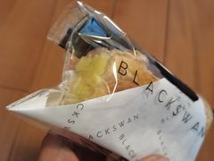 -BLACKSWAN黑天鹅(环球店)