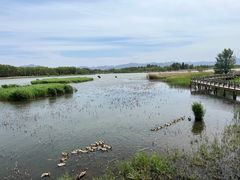 -野鸭湖国家湿地公园