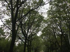 -白塘生态植物园