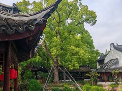 -上海醉白池公园