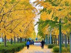 -北京奥林匹克公园