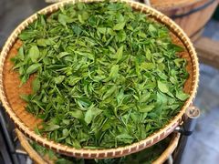 -豫园湖心亭茶楼