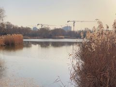 -燕郊植物园