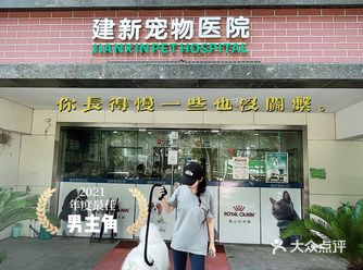 感恩偶遇宠物友好诊所｜建新宠物诊所