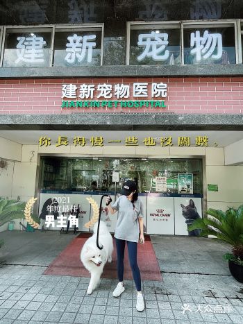 感恩偶遇宠物友好诊所｜建新宠物诊所