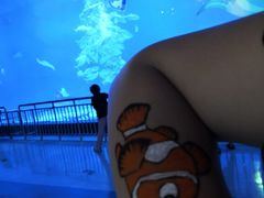 -烟台海昌鲸鲨海洋公园