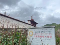 -比如骷髅墙景区