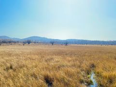 -塞罕坝国家级自然保护区