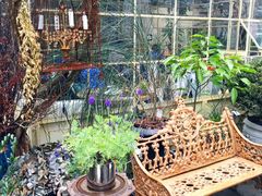 Roots&nbsp;Galleria&nbsp;F-RGF(巨鹿路店)