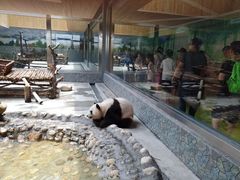 -西安秦岭野生动物园