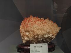 -湖南省地质博物馆