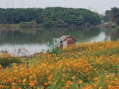 -海珠湖公园