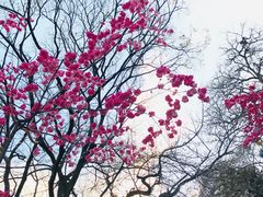 -昆明动物园