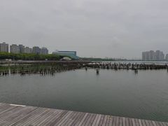 -金鸡湖景区