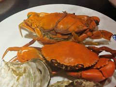 -小天鹅戴斯酒店鲸鲨百汇创作料理